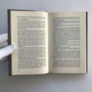 Trevír: Útěk z lágru, Leo Kessler