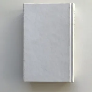 Neodsunuté vzpomínky (Česká zkušenost pohraničí), Alena Wagnerová