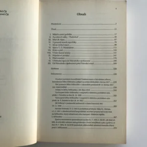 Jiří Stříbrný – portrét politika, Libor Vykoupil