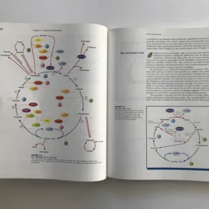 Biochemistry (An Introduction), Trudy McKee, James R. McKee