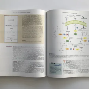 Biochemistry (An Introduction), Trudy McKee, James R. McKee