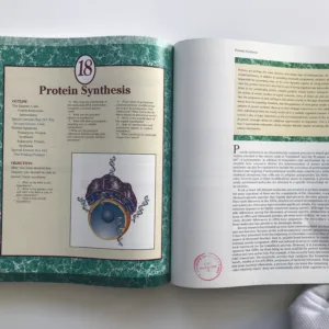 Biochemistry (An Introduction), Trudy McKee, James R. McKee