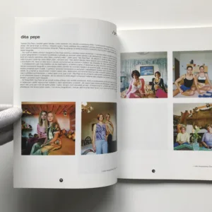 Fotograf #1 (2002), Pavel Baňka, kolektiv autorů