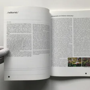 Fotograf #2 (2003), Pavel Baňka, kolektiv autorů