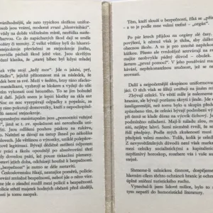 Smutný muž, Jaroslav Válek