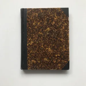 Škola milenců (Spolehlivý rádce provázející každého milujícího...), Bohumil Vlasák