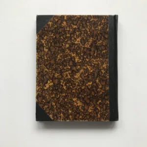 Škola milenců (Spolehlivý rádce provázející každého milujícího...), Bohumil Vlasák