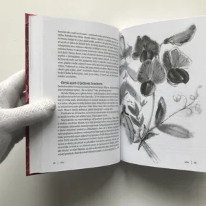 Herbář pod polštář, Václav Větvička