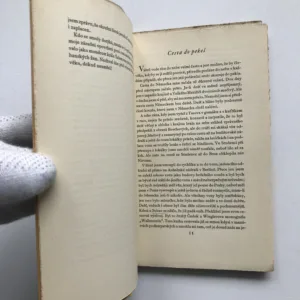 Plížení Německem, Jaroslav Durych