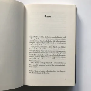 Hotýlek, Alena Mornštajnová