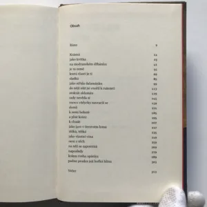 Hotýlek, Alena Mornštajnová