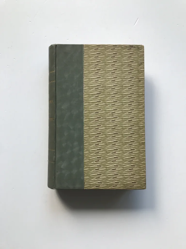 Česká poetika / Poesie und Prosa, ihre Arten und Formen, Vácslav Petrů, Bedřich Pošík, Julius Methner