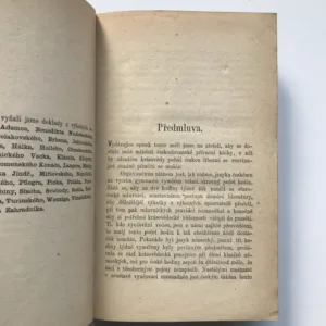 Česká poetika / Poesie und Prosa, ihre Arten und Formen, Vácslav Petrů, Bedřich Pošík, Julius Methner