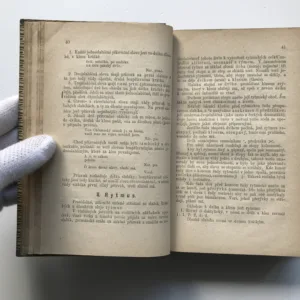 Česká poetika / Poesie und Prosa, ihre Arten und Formen, Vácslav Petrů, Bedřich Pošík, Julius Methner