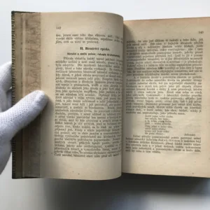 Česká poetika / Poesie und Prosa, ihre Arten und Formen, Vácslav Petrů, Bedřich Pošík, Julius Methner