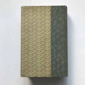 Česká poetika / Poesie und Prosa, ihre Arten und Formen, Vácslav Petrů, Bedřich Pošík, Julius Methner