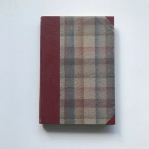 Housle v mrakodrapu, Lev Blatný