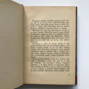 Housle v mrakodrapu, Lev Blatný