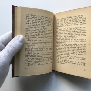 Housle v mrakodrapu, Lev Blatný