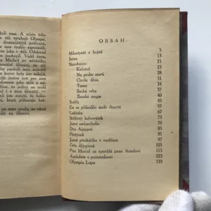 Housle v mrakodrapu, Lev Blatný