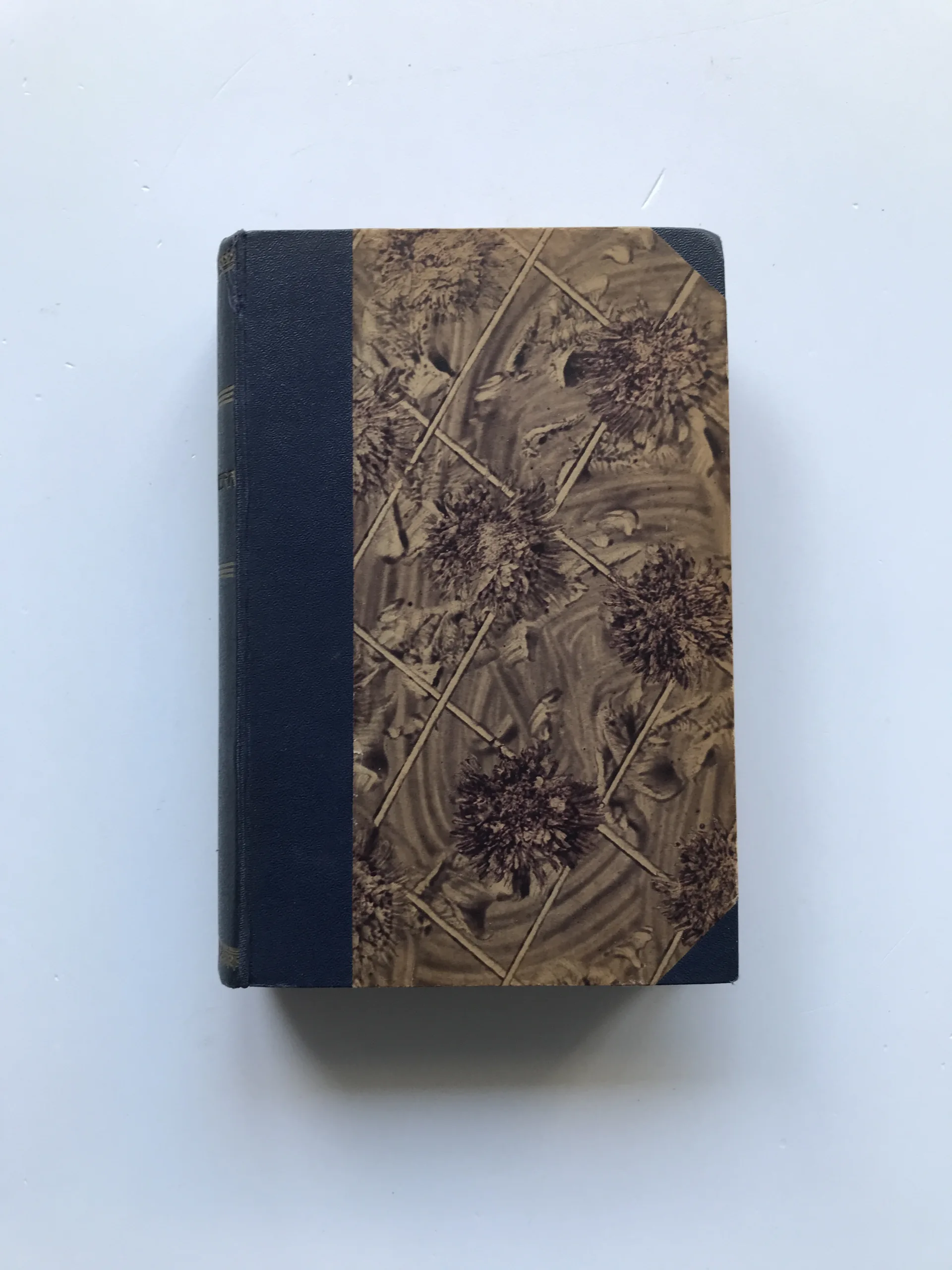 Spisy, Hubert Gordon Schauer