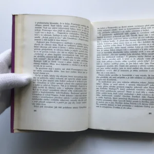 Osudy novely a románu, Veniamin Cezarevič Goffenšefer