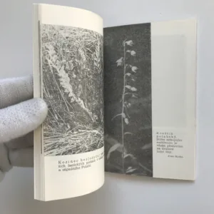 Vyhynulé a ohrožené druhy vyšších rostlin Středočeského kraje a Prahy, Ludmila Knížetová, Vladimír Skalický