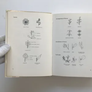 A Field Guide in Colour to Wild Flowers, Dietmar Aichele, Marianne Golte-Bechtle