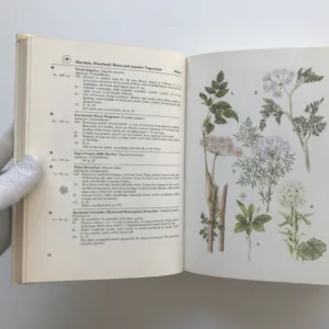 A Field Guide in Colour to Wild Flowers, Dietmar Aichele, Marianne Golte-Bechtle