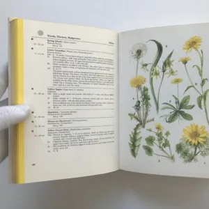 A Field Guide in Colour to Wild Flowers, Dietmar Aichele, Marianne Golte-Bechtle