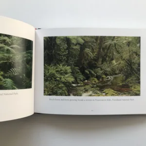 New Zealand Landscapes, Andris Apse