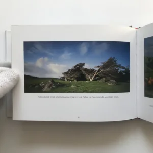 New Zealand Landscapes, Andris Apse