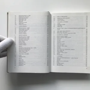 Údržba a opravy automobilů Škoda Favorit, Forman, Pick up, Jaroslav Andrt, Tomáš Malina