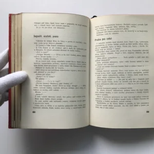 Evropan se vrací (Dobrodružství dlouhé 25.000 kilometrů, které prožili dva Evropané v malém voze mezi Prahou a Horou, která kouří), František Alexander Elstner