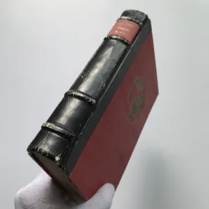 Evropan se vrací (Dobrodružství dlouhé 25.000 kilometrů, které prožili dva Evropané v malém voze mezi Prahou a Horou, která kouří), František Alexander Elstner