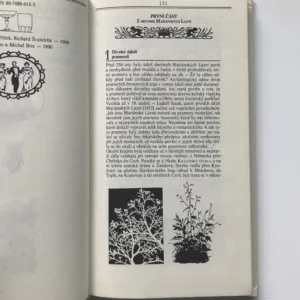 106x Mariánské Lázně, Vladimír Křížek, Richard Švandrlík