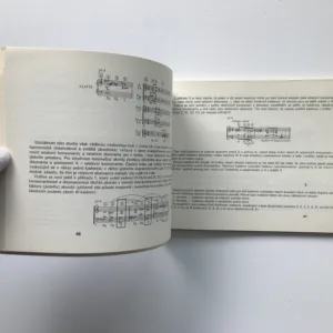 Současná hranice tonality, Karel Risinger, Jaromír Podešva