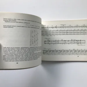 Současná hranice tonality, Karel Risinger, Jaromír Podešva