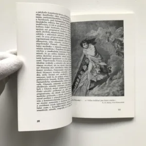 Ani labuť ani Lůna (Sborník k stému výročí smrti Karla Hynka Máchy)