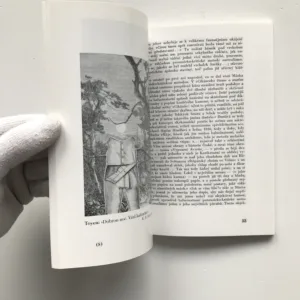 Ani labuť ani Lůna (Sborník k stému výročí smrti Karla Hynka Máchy)