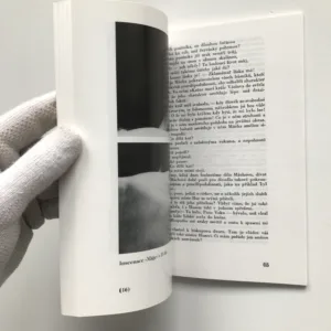 Ani labuť ani Lůna (Sborník k stému výročí smrti Karla Hynka Máchy)