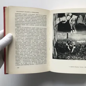 Zápasy o smysl moderní tvorby (Studie z třicátých let), Karel Teige