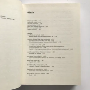 I já jsem byl v Itálii... (Obraz Itálie ve vybraných textech českých autorů), Nella Mlsová