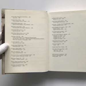 I já jsem byl v Itálii... (Obraz Itálie ve vybraných textech českých autorů), Nella Mlsová