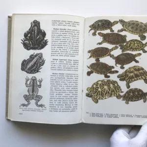 Světem zvířat IV – Pláštěnci, bezlebeční, ryby, obojživelníci a plazi, Antonín Pospíšil, Jan Hanzák, Jiří Felix, Jiří Vostradovský, Stanislav Frank