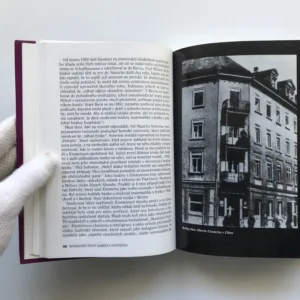 Soukromý život Alberta Einsteina, Roger Highfield, Paul Carter