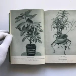 Květiny v našich domovech a na pracovištích, František Jirásek