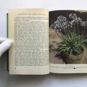 Květiny v našich domovech a na pracovištích, František Jirásek