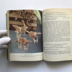 Květiny v našich domovech a na pracovištích, František Jirásek