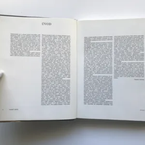 Paměť měst – Městské památkové rezervace v českých zemích, kolektiv autorů